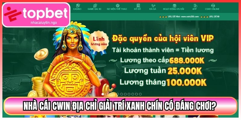 Nhà Cái CWIN Địa Chỉ Giải Trí Xanh Chín Có Đáng Chơi?