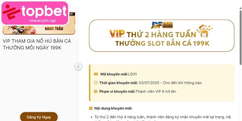 Tìm hiểu về ưu đãi thưởng VIP 199K DF999